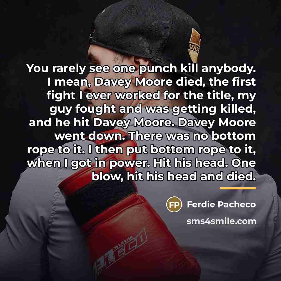 “You rarely see one punch kill anybody. I mean, Davey…” quote by Ferdie Pacheco