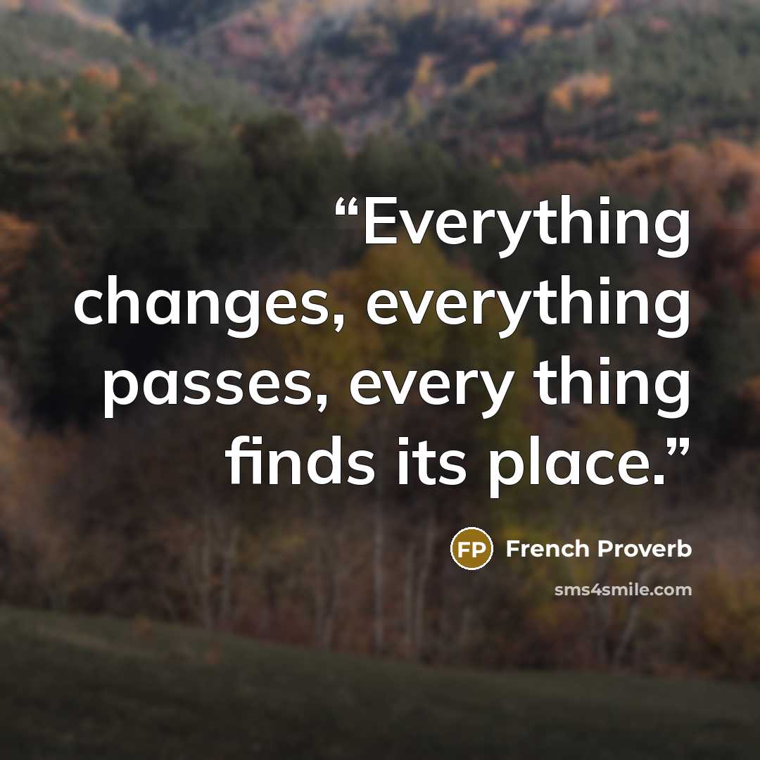 “Everything changes, everything passes, every thing finds its place.” quote by French proverb