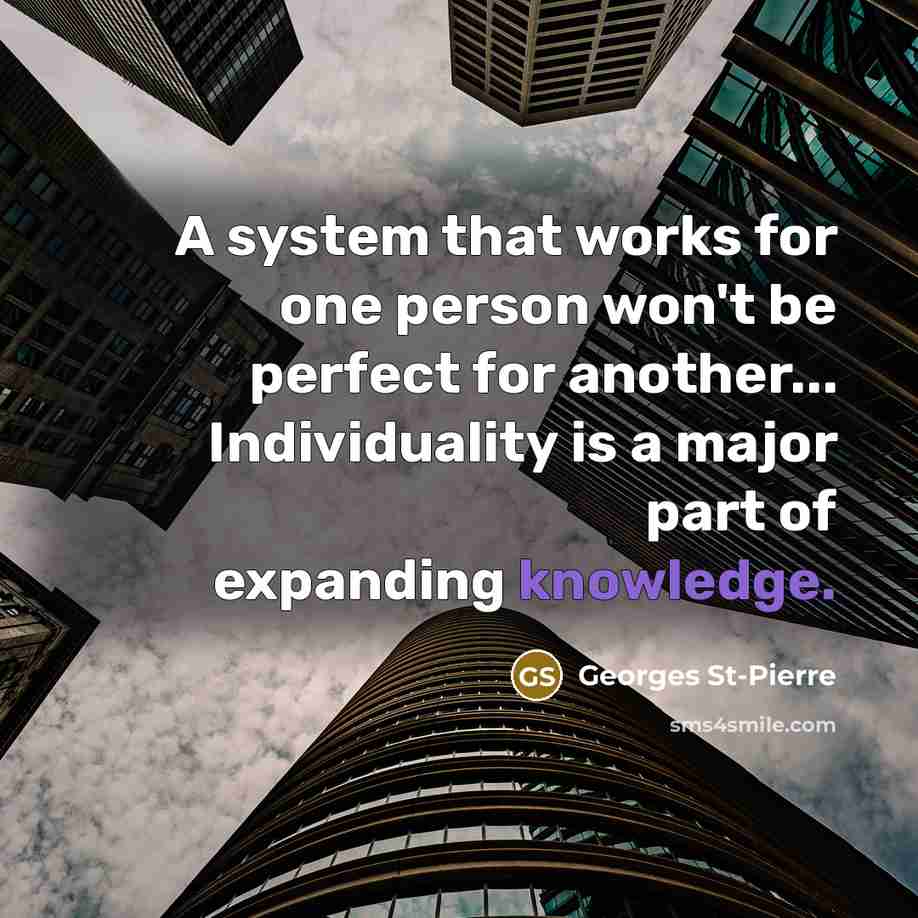 “A system that works for one person won't be perfect…” quote by Georges St-Pierre