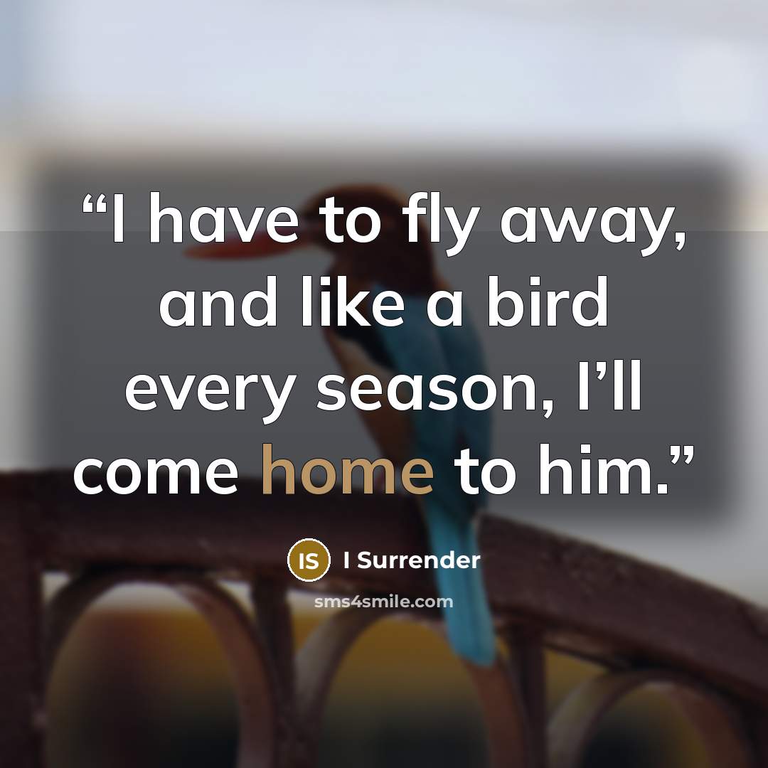 “I have to fly away, and like a bird every season, I’ll come home to him.” quote by I Surrender