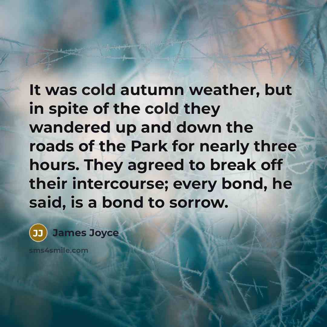 “It was cold autumn weather, but in spite of the…” quote by James Joyce