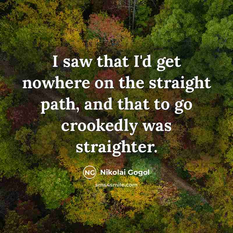 “I saw that I'd get nowhere on the straight path,…” quote by Nikolai Gogol