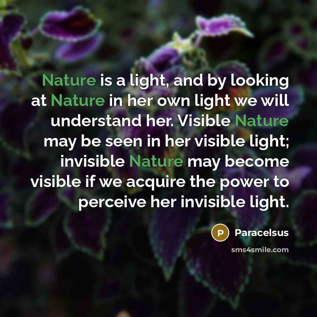 “Nature is a light, and by looking at Nature in…” quote by Paracelsus