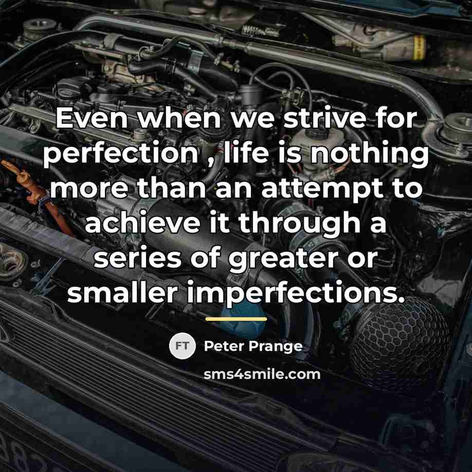 “Even when we strive for perfection , life is nothing…” quote by Peter Prange