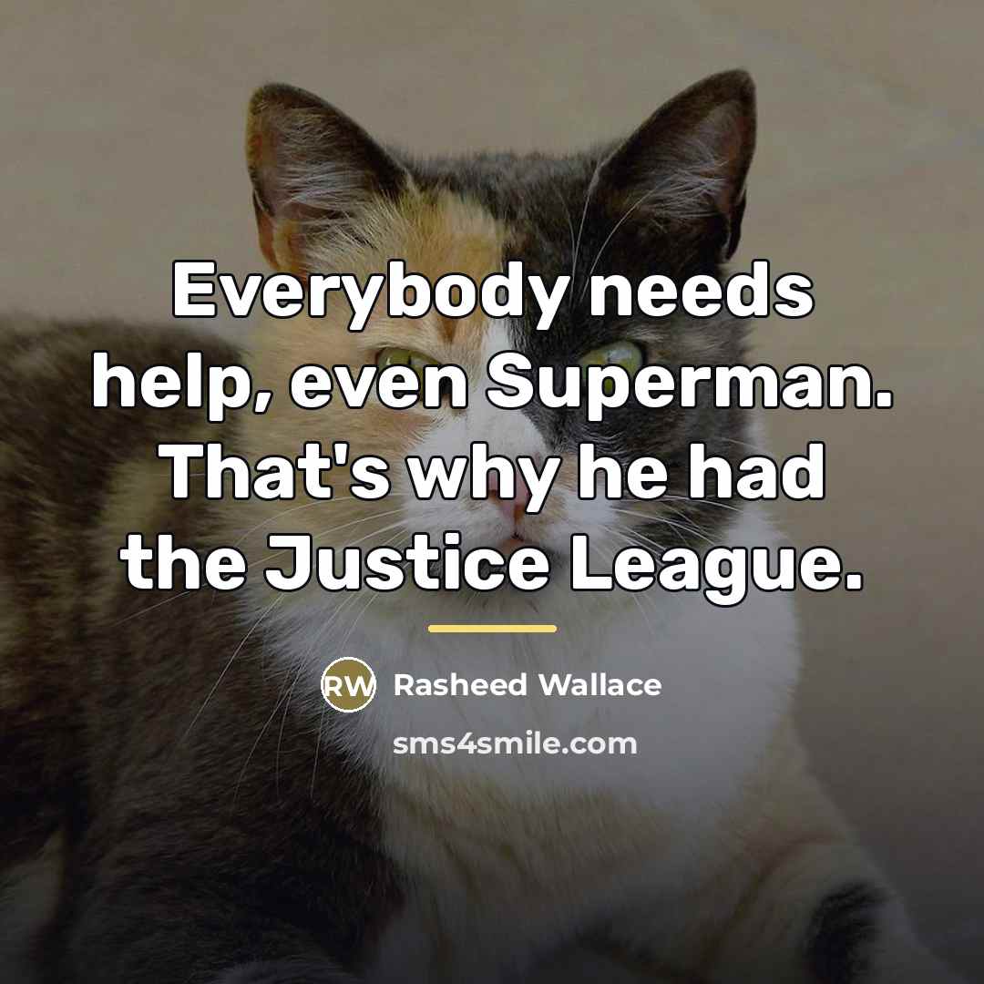 “Everybody needs help, even Superman. That's why he had the…” quote by Rasheed Wallace
