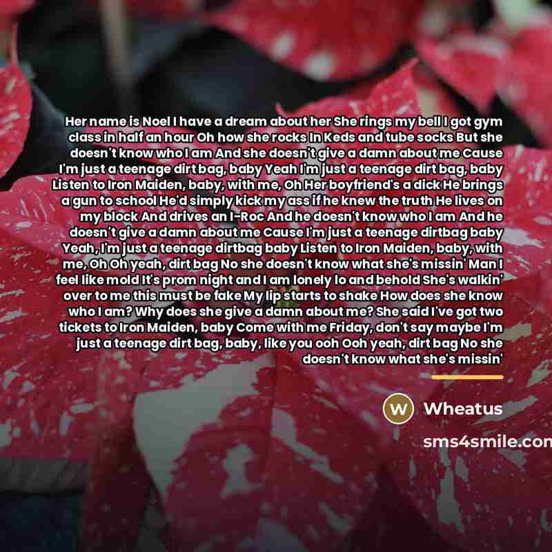 “Her name is Noel I have a dream about her…” quote by Wheatus