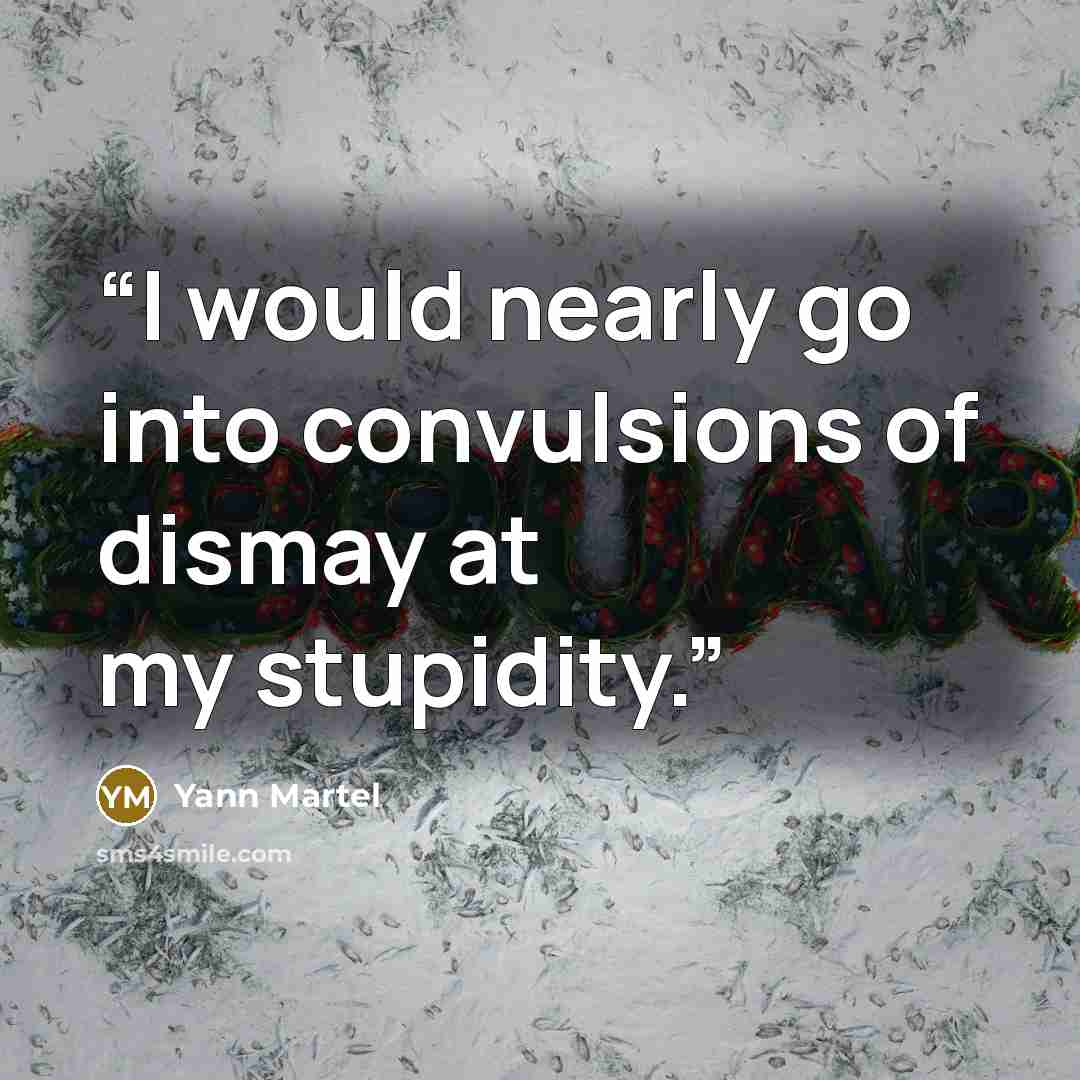 “I would nearly go into convulsions of dismay at my stupidity.” quote by Yann Martel
