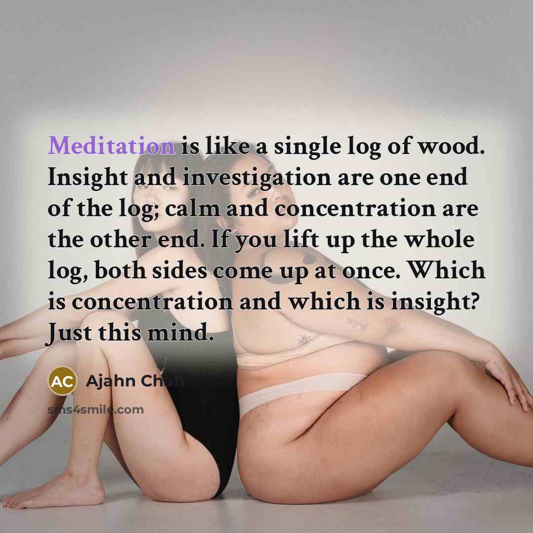 “Meditation is like a single log of wood. Insight and…” quote by Ajahn Chah