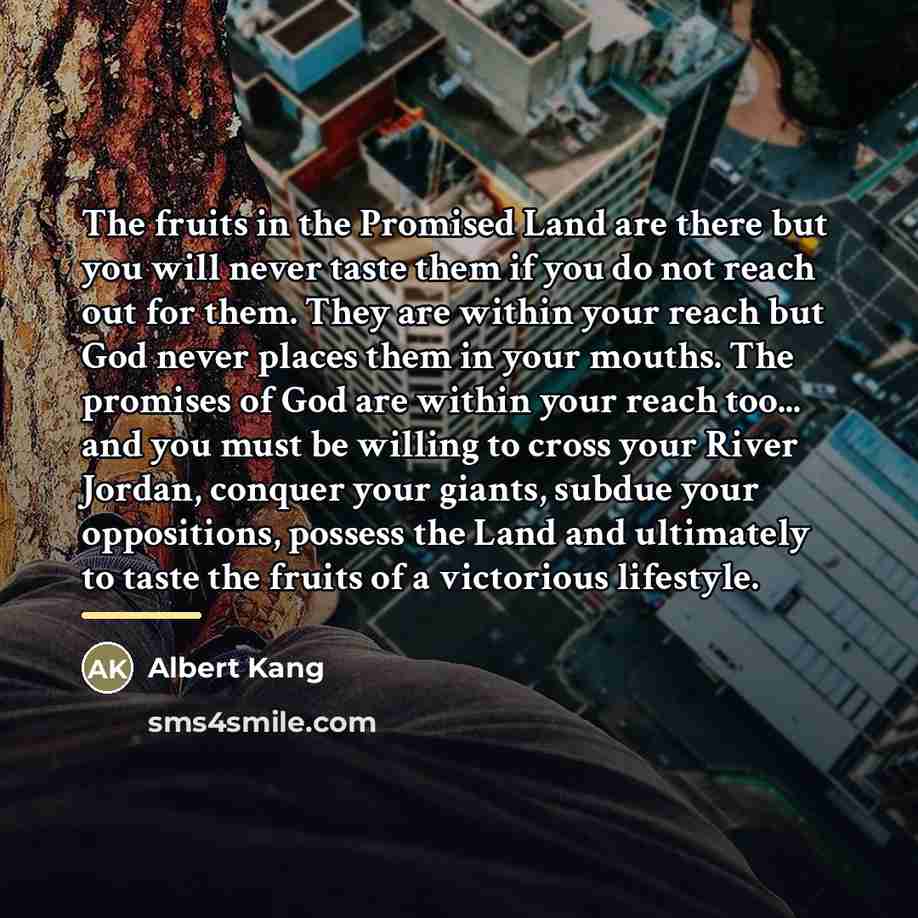 “The fruits in the Promised Land are there but you…” quote by Albert Kang