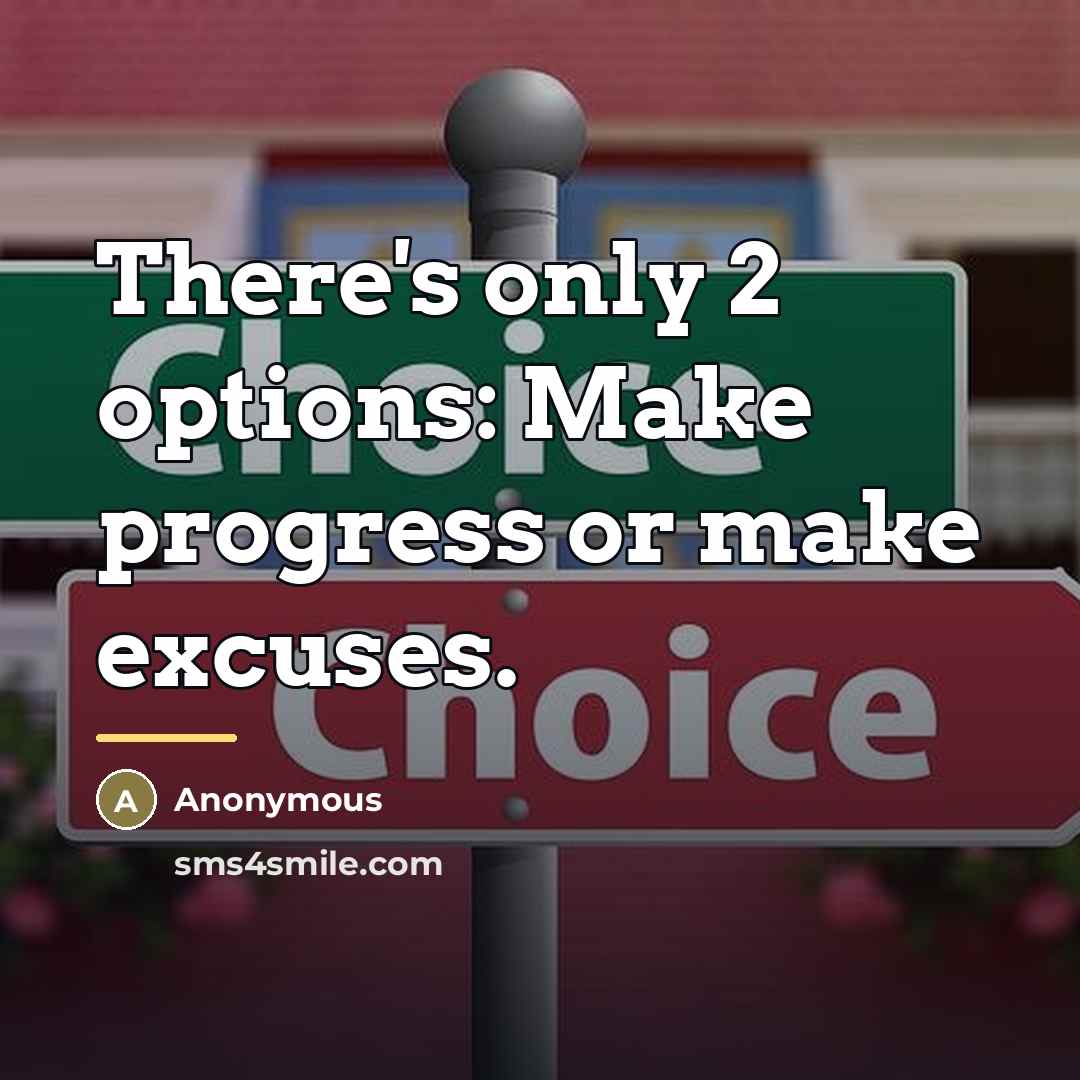 “There's only 2 options: Make progress or make excuses.…” quote by Anonymous