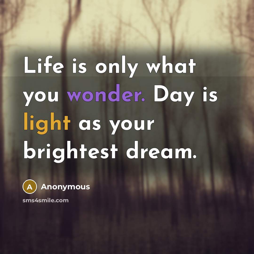 “Life is only what you wonder. Day is light as…” quote by Anonymous