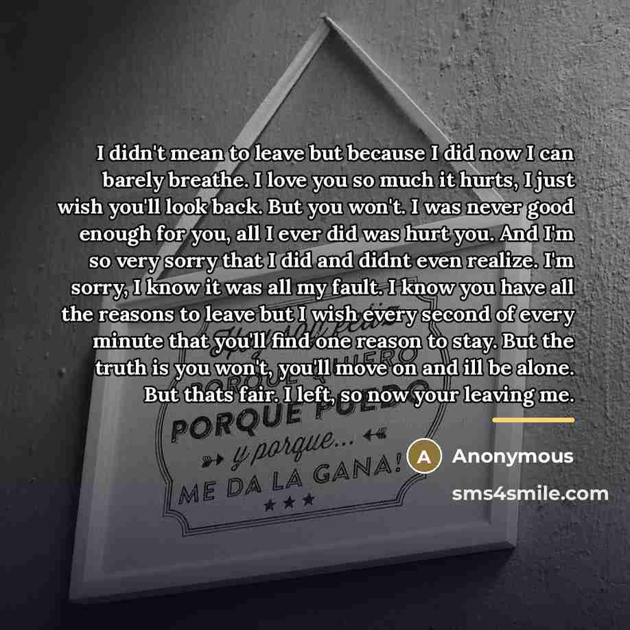 “I didn't mean to leave but because I did now…” quote by Anonymous