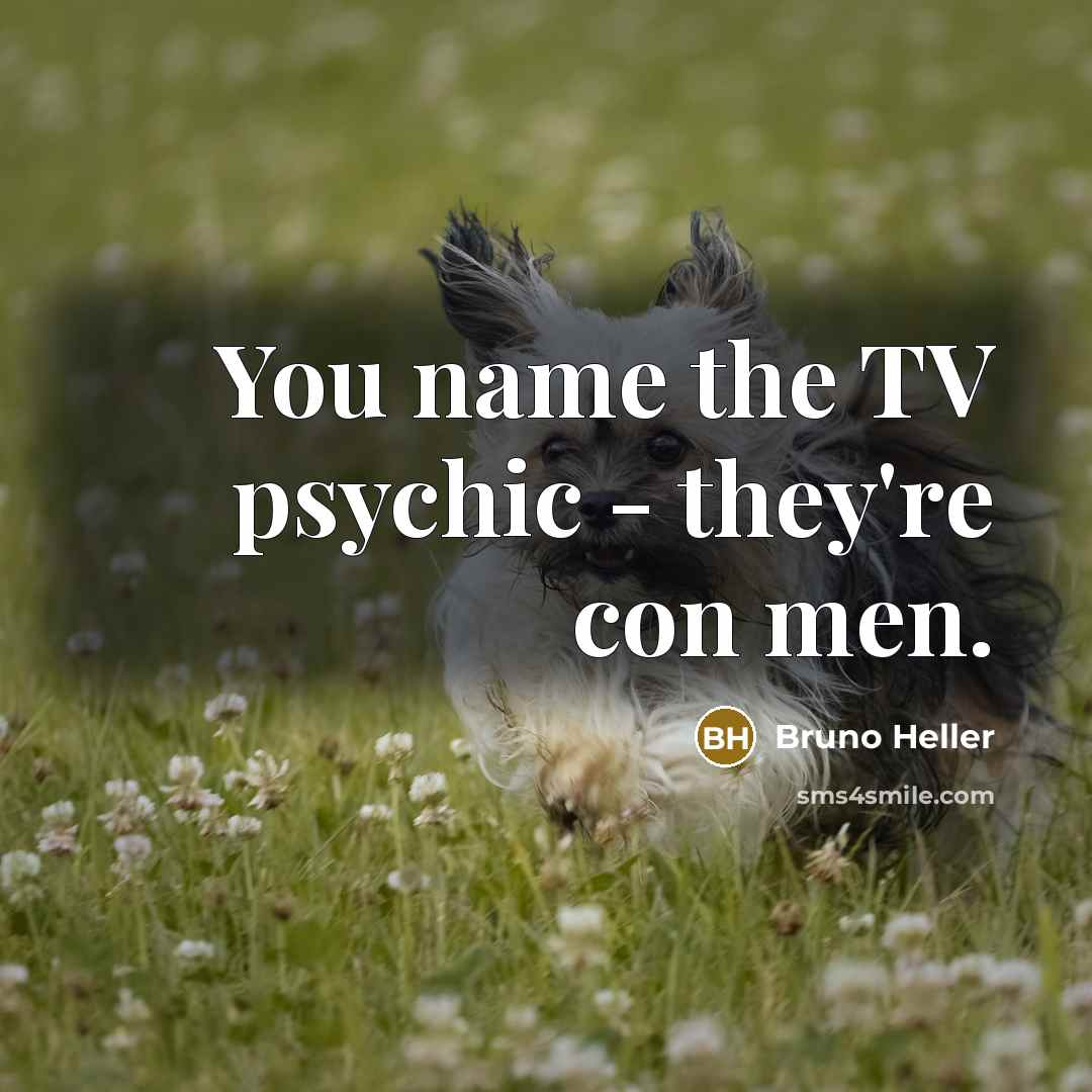 “You name the TV psychic - they're con men.…” quote by Bruno Heller