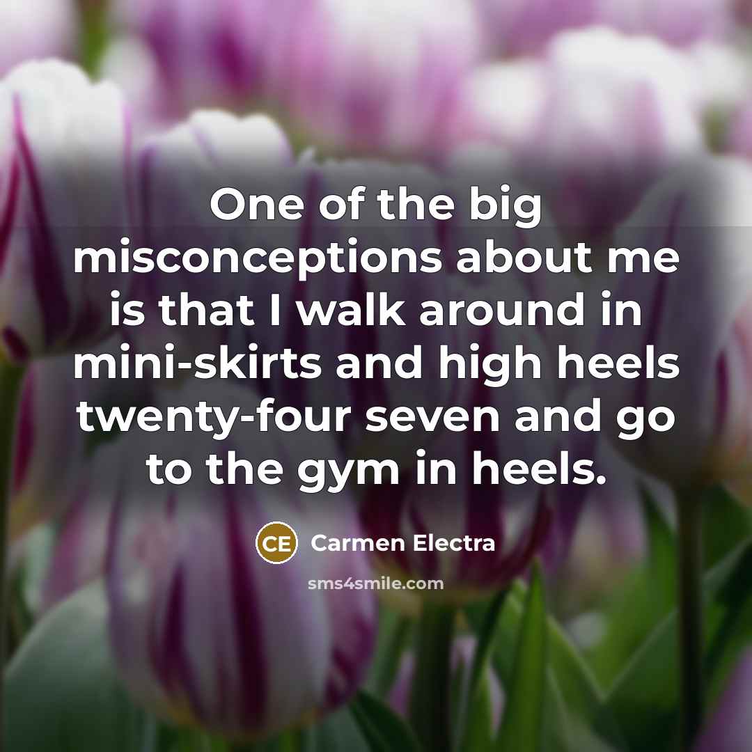 “One of the big misconceptions about me is that I…” quote by Carmen Electra