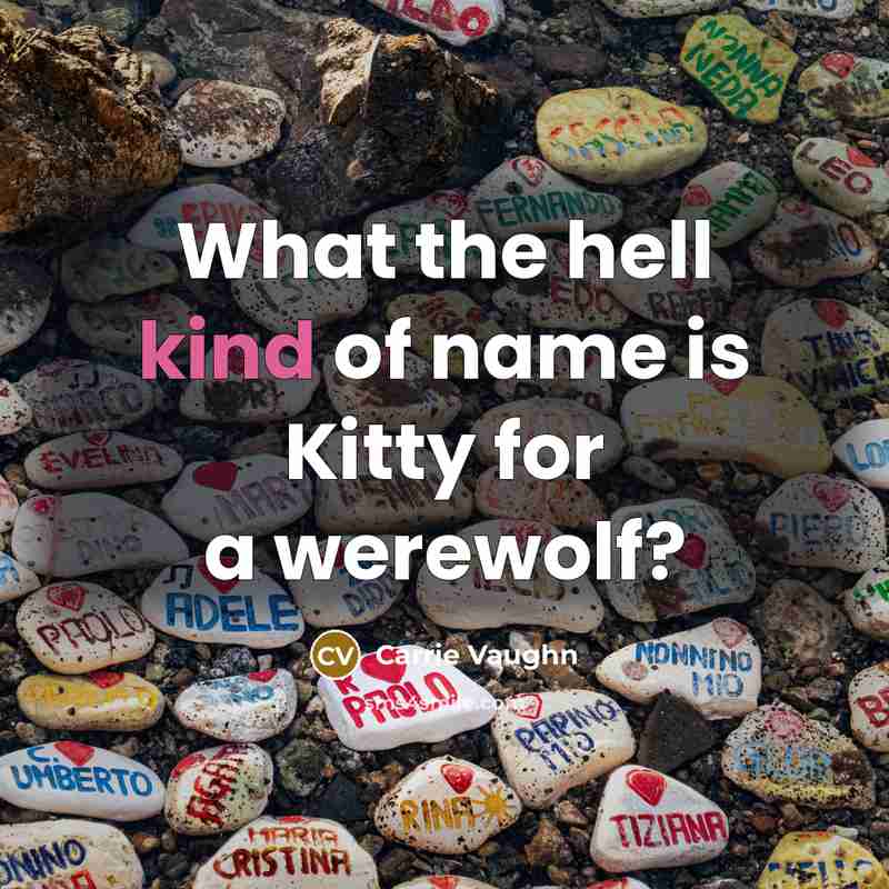 “What the hell kind of name is Kitty for a…” quote by Carrie Vaughn