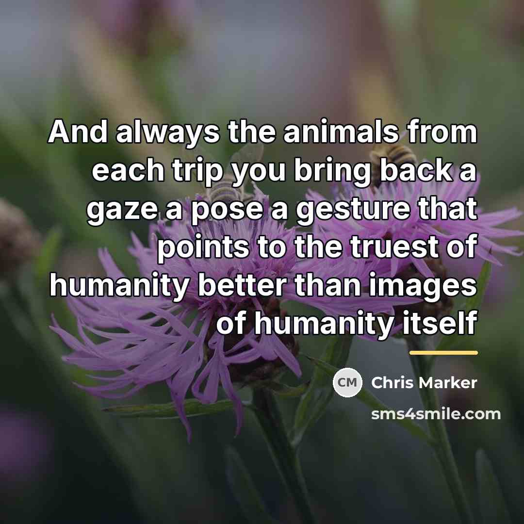 “And always the animals from each trip you bring back…” quote by Chris Marker