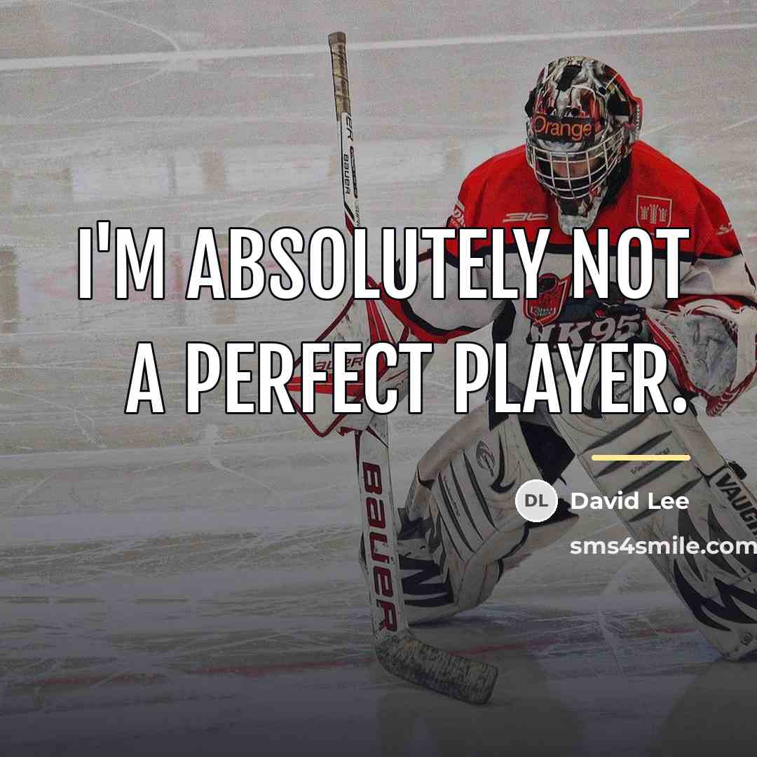 “I'm absolutely not a perfect player.…” quote by David Lee