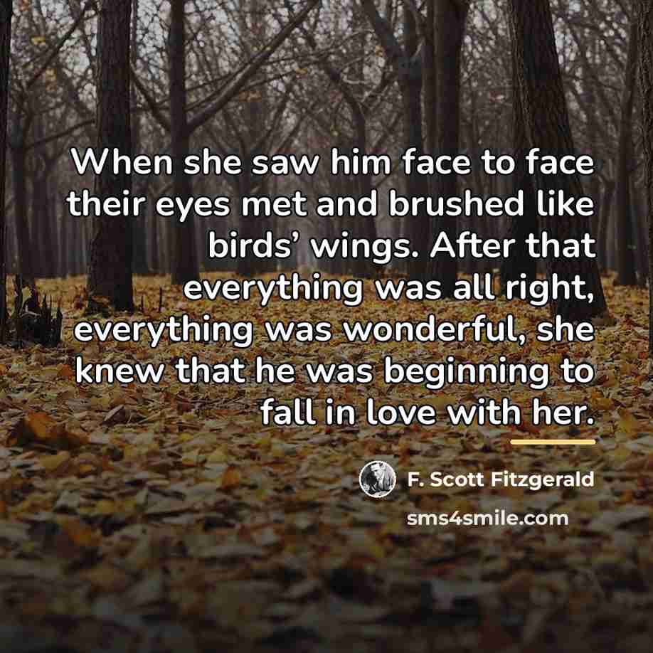 “When she saw him face to face their eyes met…” quote by F. Scott Fitzgerald