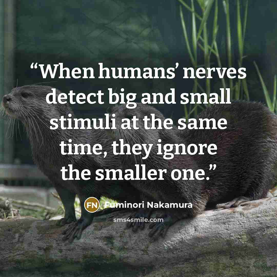 “When humans’ nerves detect big and small stimuli at the same time, they ignore the smaller one.” quote by Fuminori Nakamura