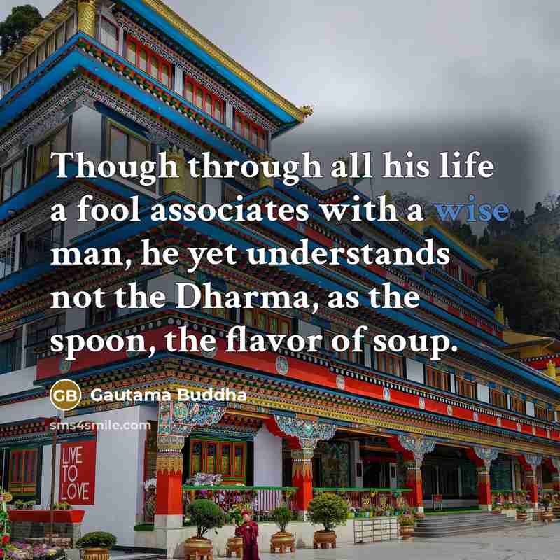 “Though through all his life a fool associates with a…” quote by Gautama Buddha