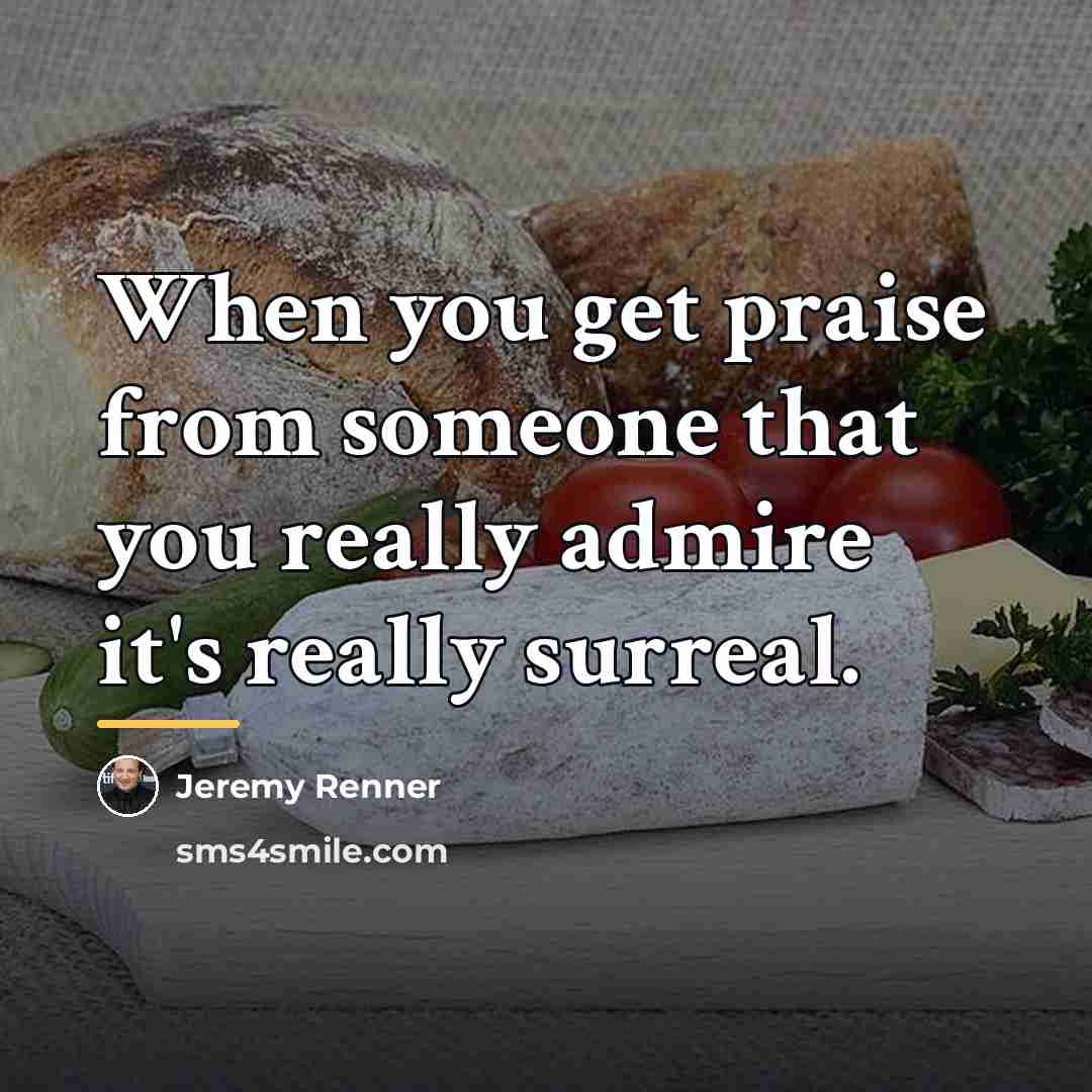 “When you get praise from someone that you really admire…” quote by Jeremy Renner