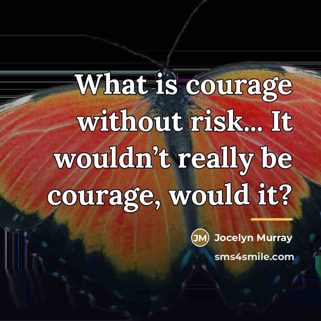 “What is courage without risk... It wouldn’t really be courage,…” quote by Jocelyn Murray
