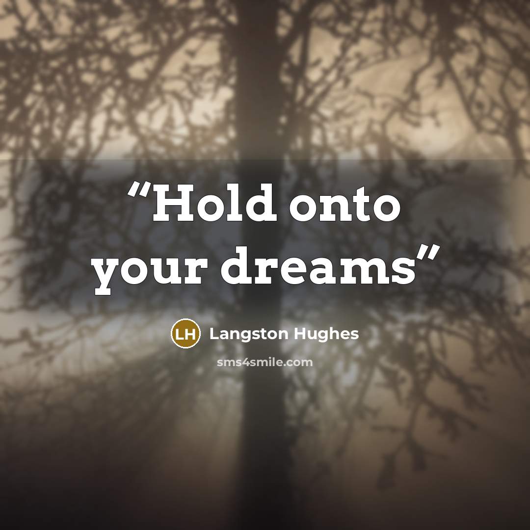 “Hold onto your dreams” quote by Langston Hughes
