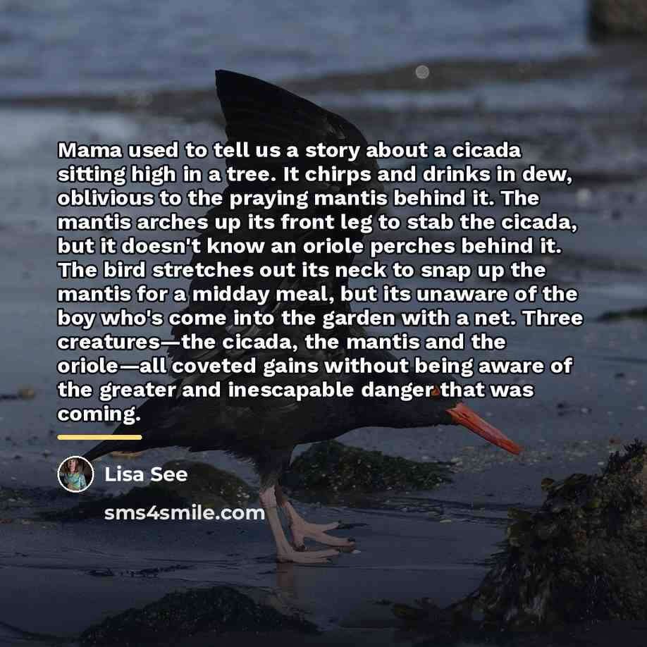 “Mama used to tell us a story about a cicada…” quote by Lisa See