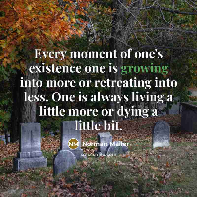 “Every moment of one's existence one is growing into more…” quote by Norman Mailer