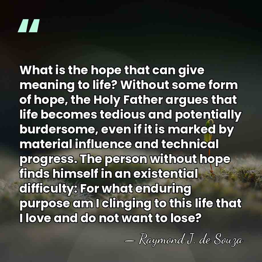 What is the hope that can give meaning to life? Without some&hellip; - Raymond J. de Souza