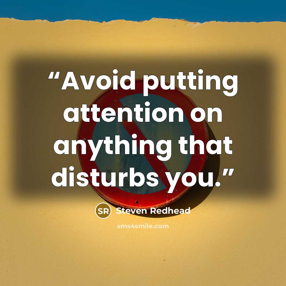 “Avoid putting attention on anything that disturbs you.” quote by Steven Redhead