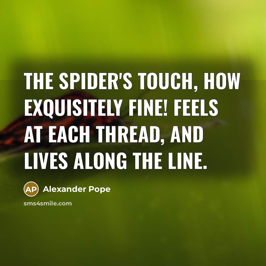 “The spider's touch, how exquisitely fine! Feels at each thread,…” quote by Alexander Pope