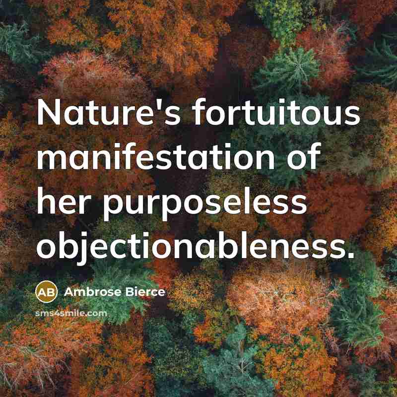 “Nature's fortuitous manifestation of her purposeless objectionableness.…” quote by Ambrose Bierce