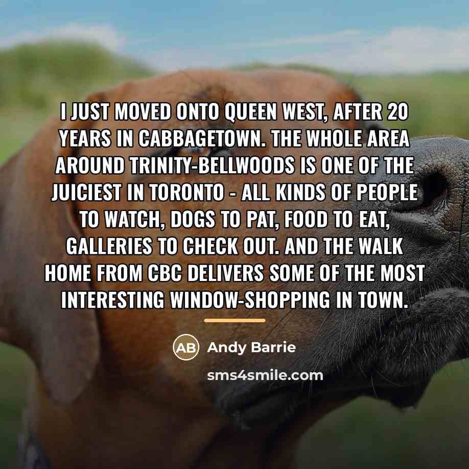 “I just moved onto Queen West, after 20 years in…” quote by Andy Barrie