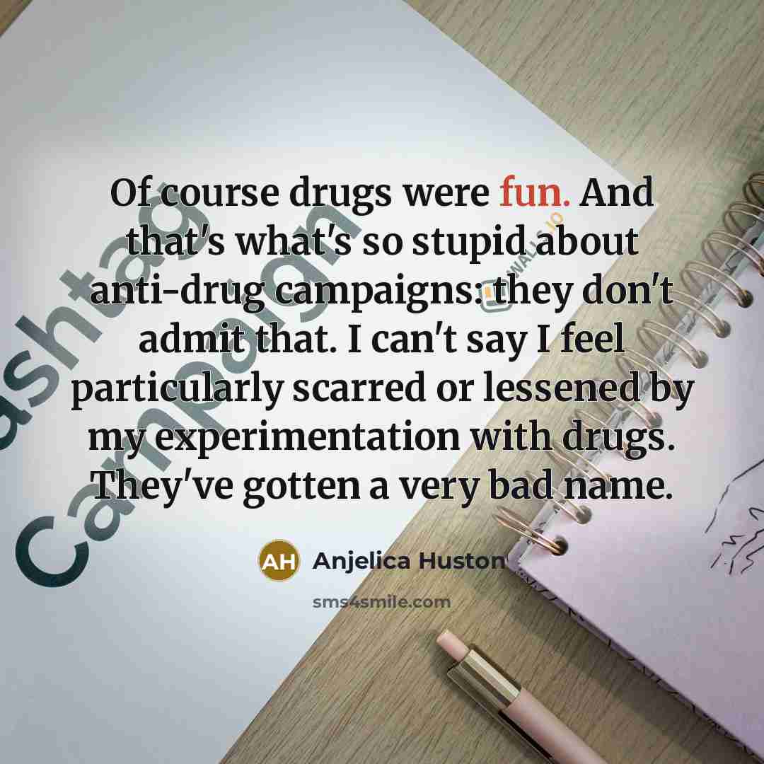 “Of course drugs were fun. And that's what's so stupid…” quote by Anjelica Huston