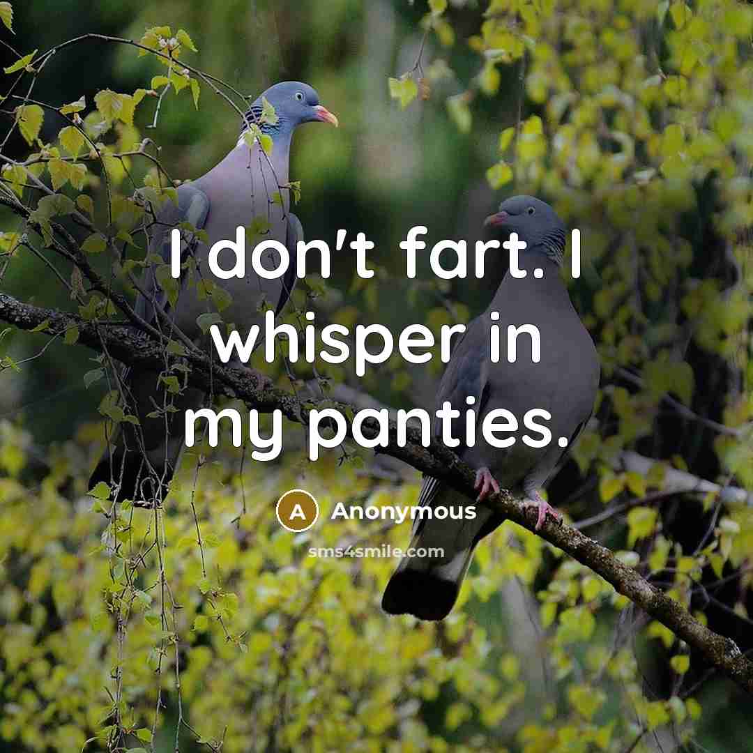 “I don't fart. I whisper in my panties.…” quote by Anonymous