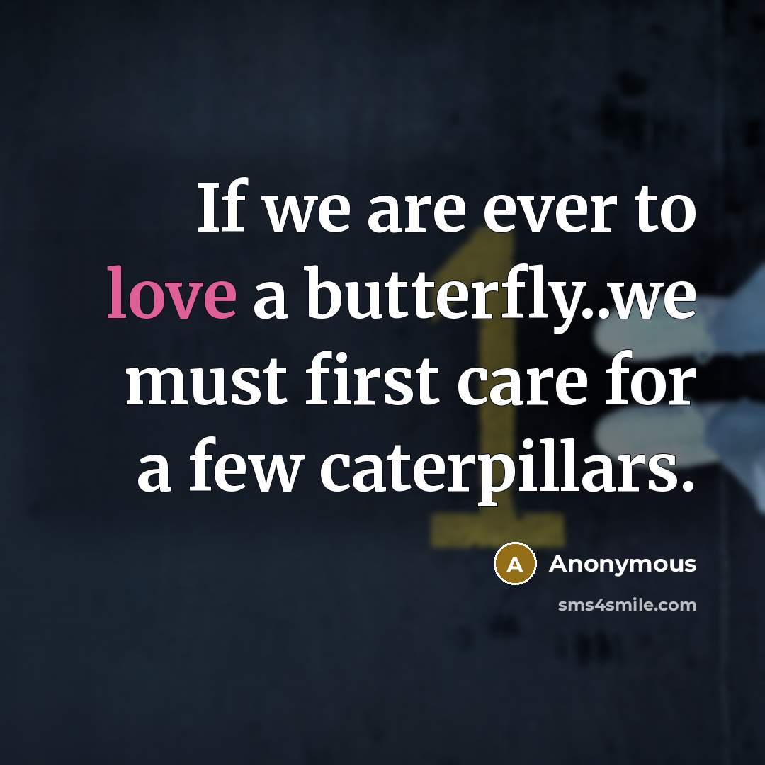 “If we are ever to love a butterfly..we must first…” quote by Anonymous