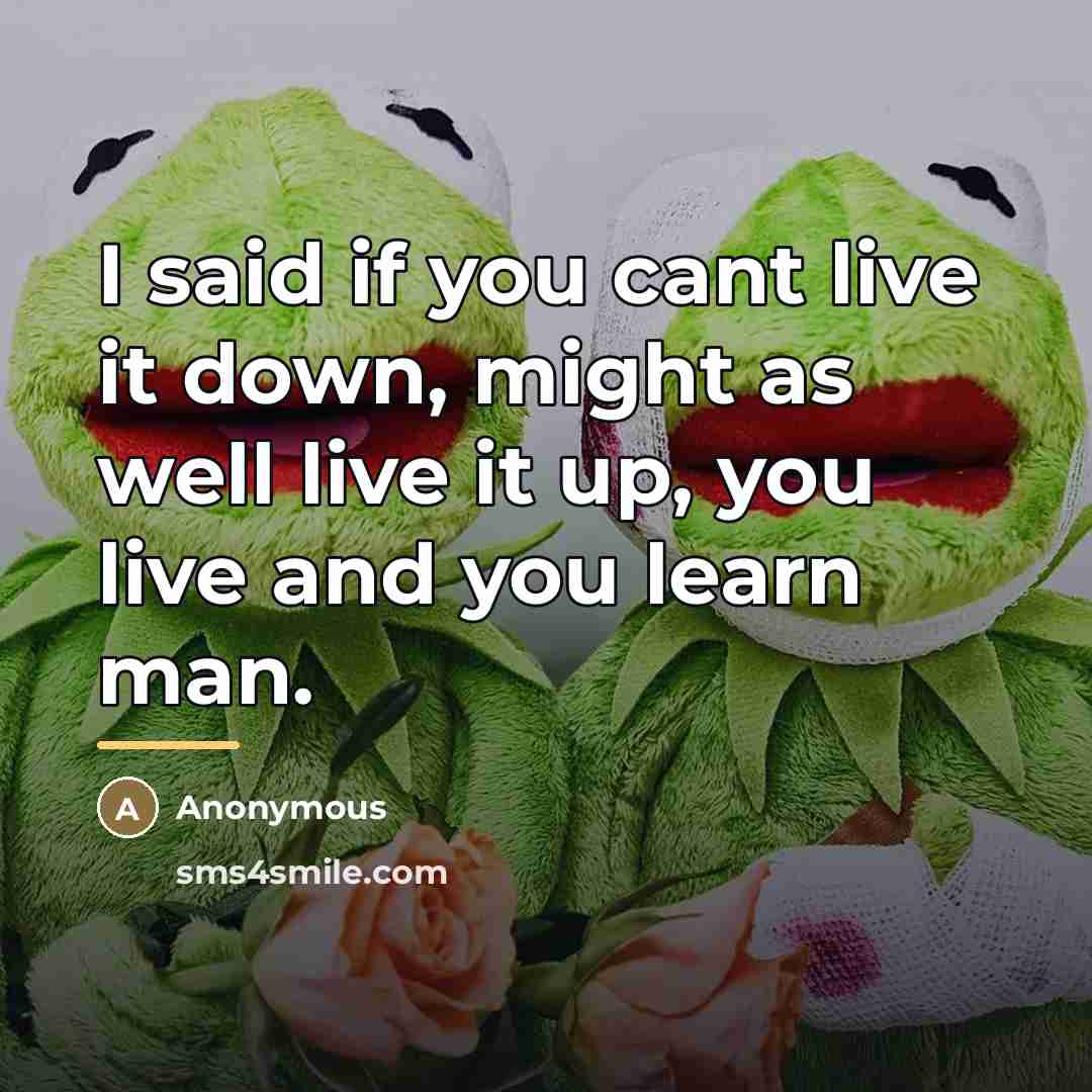 “I said if you cant live it down, might as…” quote by Anonymous