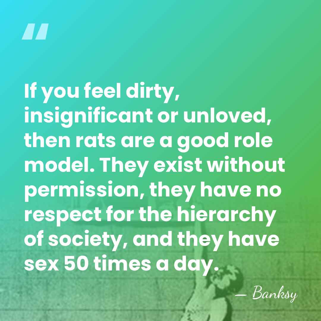 If you feel dirty, insignificant or unloved, then rats are a good&hellip; - Banksy