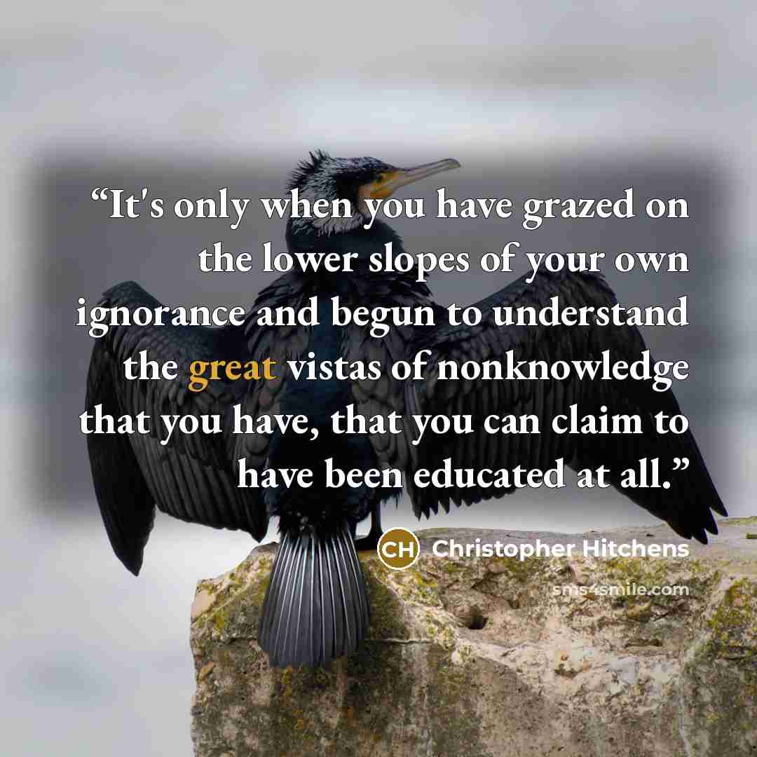 “It's only when you have grazed on the lower slopes of your own ignorance and begun to understand the great vistas of nonknowledge﻿ that you have, that you can claim to have been educated at all.” quote by Christopher Hitchens