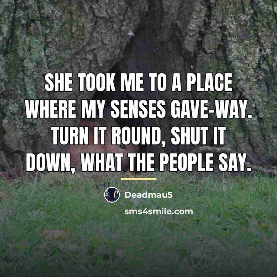 “She took me to a place where my senses gave-way.…” quote by Deadmau5