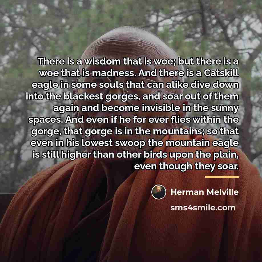 “There is a wisdom that is woe; but there is…” quote by Herman Melville