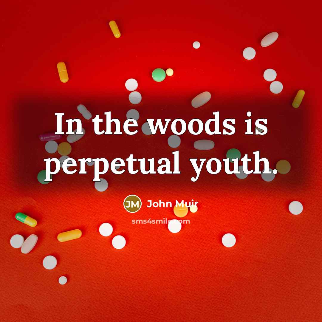 “In the woods is perpetual youth.…” quote by John Muir
