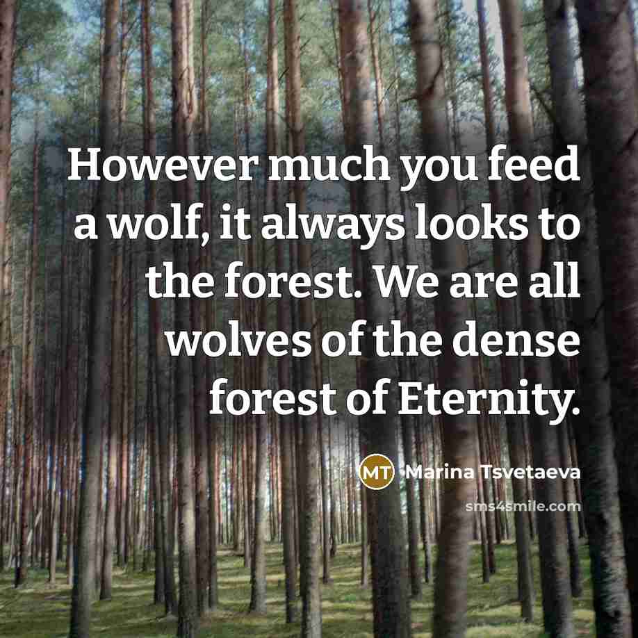 “However much you feed a wolf, it always looks to…” quote by Marina Tsvetaeva