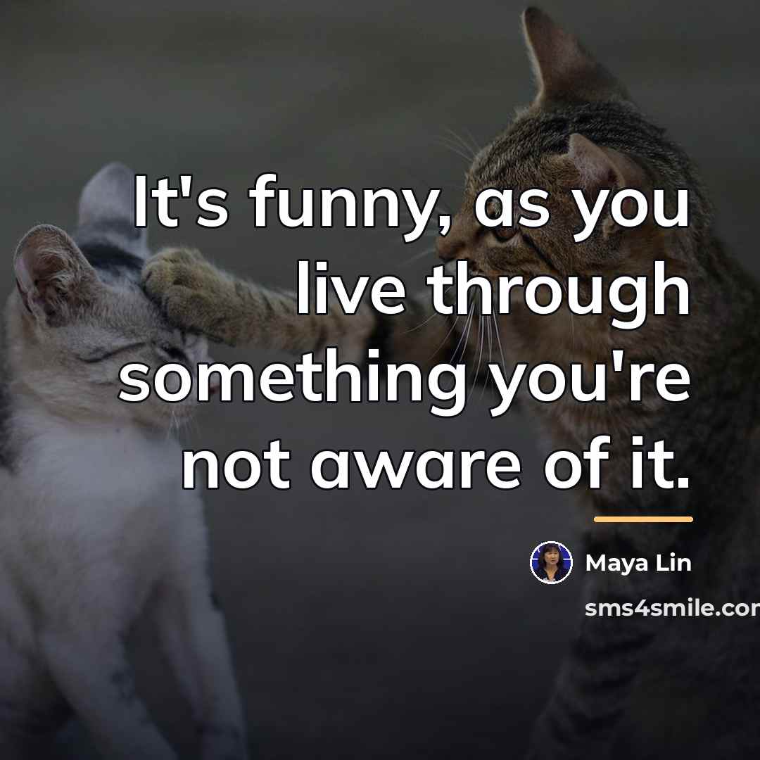 “It's funny, as you live through something you're not aware…” quote by Maya Lin