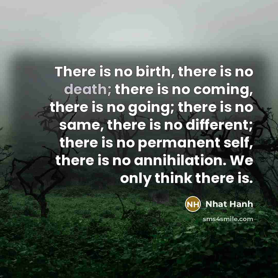 “There is no birth, there is no death; there is…” quote by Nhat Hanh