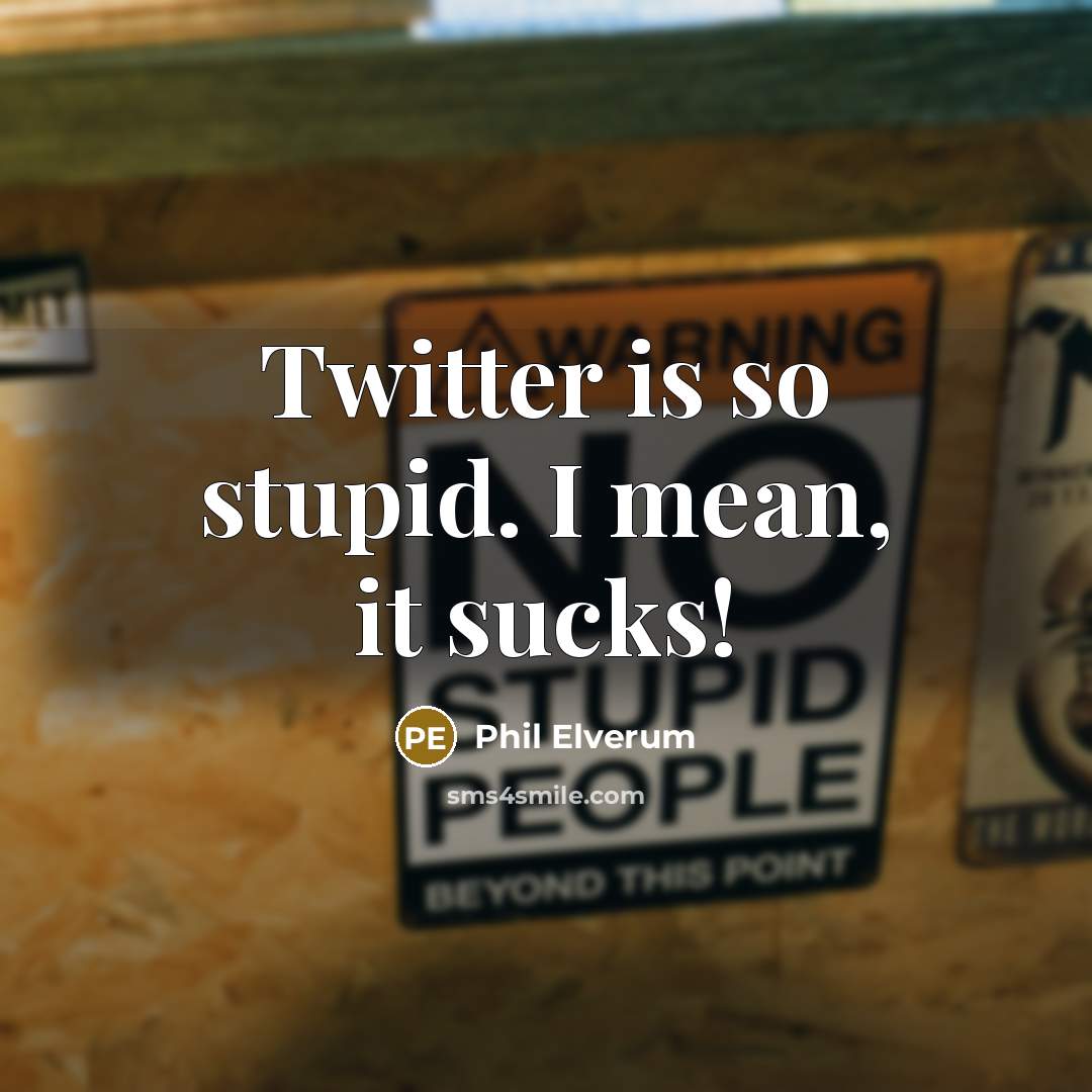 “Twitter is so stupid. I mean, it sucks!…” quote by Phil Elverum