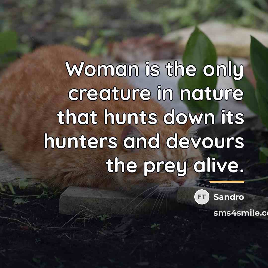 “Woman is the only creature in nature that hunts down…” quote by Sandro
