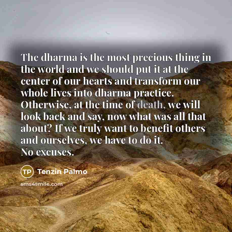 “The dharma is the most precious thing in the world…” quote by Tenzin Palmo
