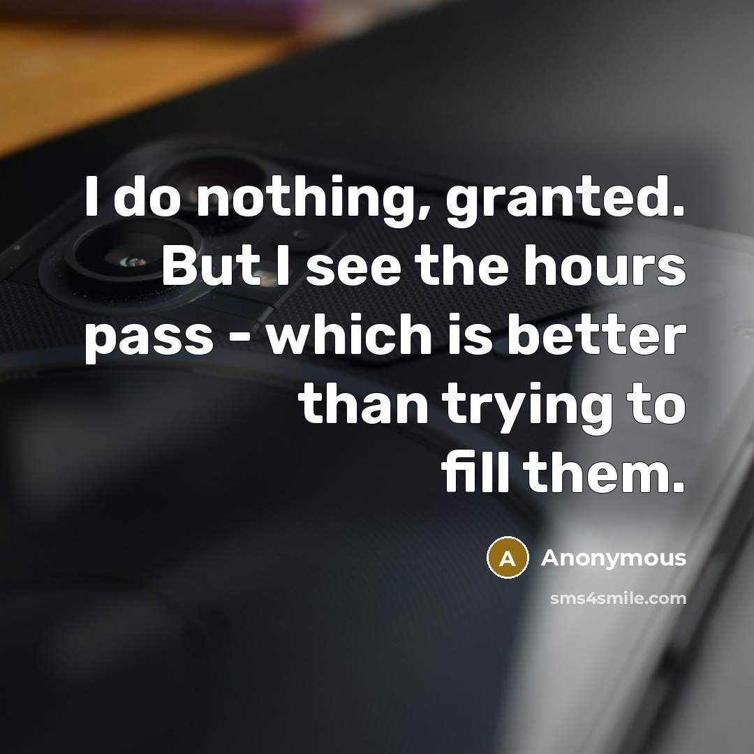 “I do nothing, granted. But I see the hours pass…” quote by Anonymous